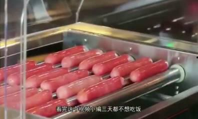 胖丁爆料烤肠怎么做视频,烤肠制作全过程,美味在家轻松享 第1张 胖丁爆料烤肠怎么做视频,烤肠制作全过程,美味在家轻松享 第1张